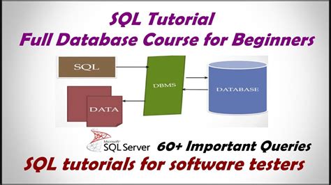 sql database tutorial for beginners.